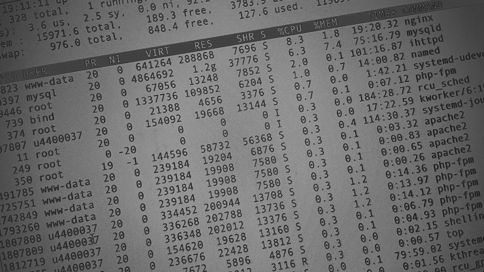 Настройка сервера в Лодейном Поле