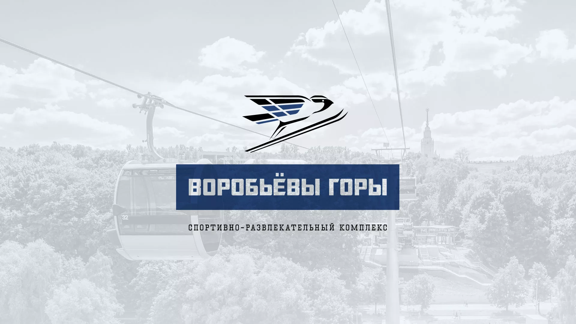 Разработка сайта в Лодейном Поле для спортивно-развлекательного комплекса «Воробьёвы горы»