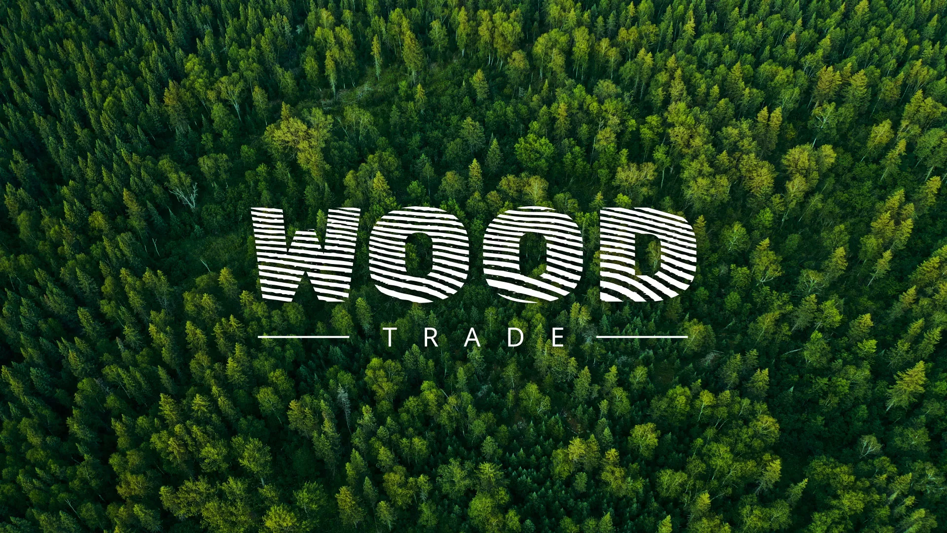 Разработка интернет-магазина компании «Wood Trade» в Лодейном Поле