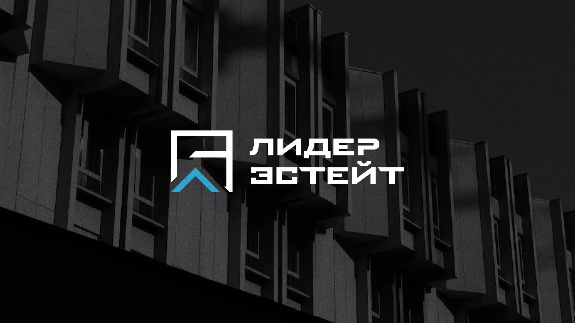 Разработка логотипа агентства недвижимости «Лидер Эстейт» в Лодейном Поле